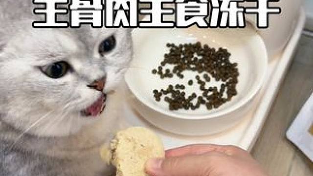 都知道给猫喂生骨肉好，但是麻烦，那就试试生骨肉主食冻干吧～ #记录猫咪日常#生骨肉冻干