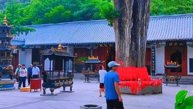 时逢仲夏，粽叶飘香。龙舟竞渡，艾蒲悬门。五丝系臂，遥祝君安。祈愿诸邪退散，岁岁安康顺遂。顺颂时祺。#