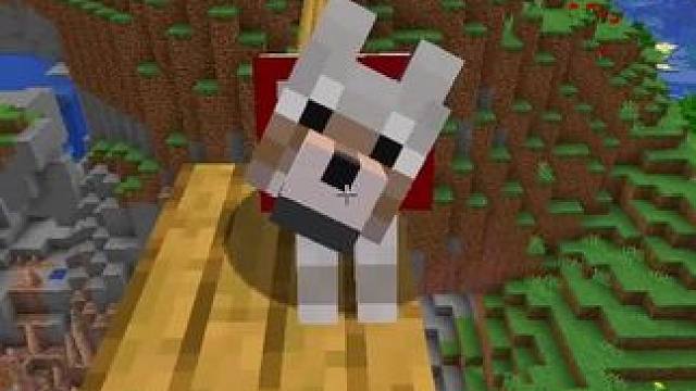 #我的世界 #Minecraft