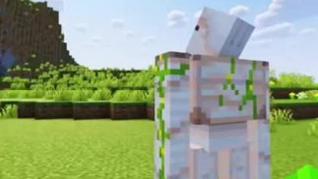 #我的世界 #Minecraft