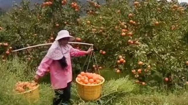 我发布了一个新视频，快来围观吧！