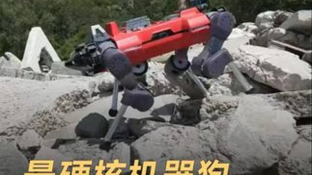 最硬核机器狗，野外碎石堆跑酷 #机器狗  #ANYmal  #人工智能  #机器人  #科技改变生活