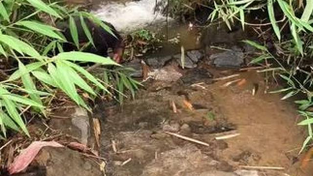 野外生存 #我的乡村生活 #农村美食记录生活 #我的日常生活 #原创视频