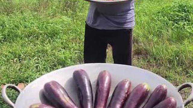 东南亚大叔 #我的乡村生活 #农村美食记录生活 #我的日常生活 #家乡特产