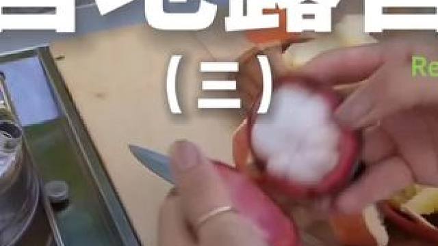 营地露营（三）#露营 #助眠 #解压 #萌宠 #户外露营