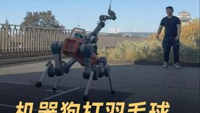 机器狗打羽毛球，和人类对打 #机器狗  #人工智能  #人机大战  #机械臂  #科技改变生活