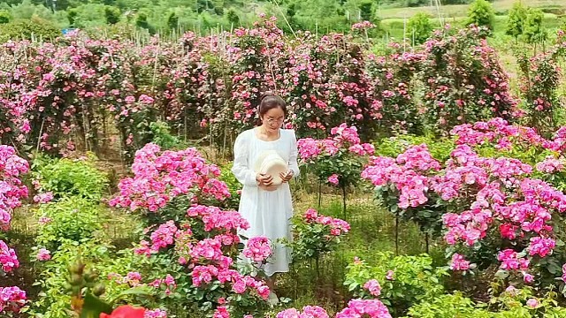 这个季节就是沾花惹草的时候……