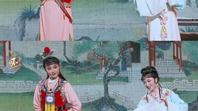 #越动青春  徐派小生#俞果  王派花旦#陆志艳  创意改编《红楼梦·共读西厢》，巧妙融入《西厢记》