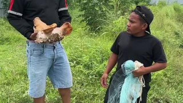 东南亚矮子来了 #我的乡村生活 #原创视频 #农村美食记录生活 #乡村美食