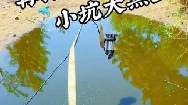 再探小坑出惊喜 #抽水#抓鱼#户外抓鱼#抽水抓鱼#户外