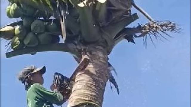 熟练的工人和机械#高手在民间 #劳动人民的智慧 #神操作 #机械 #工具