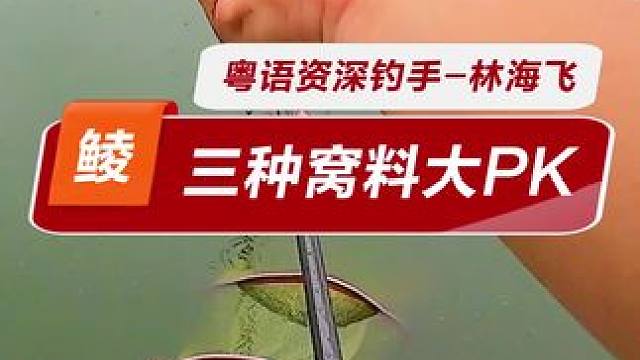 三种窝料大pk 大颗粒小颗粒和鲮鱼方块，哪个做窝效果好？做窝有什么讲究？今天刚好机会实战对比，太难得