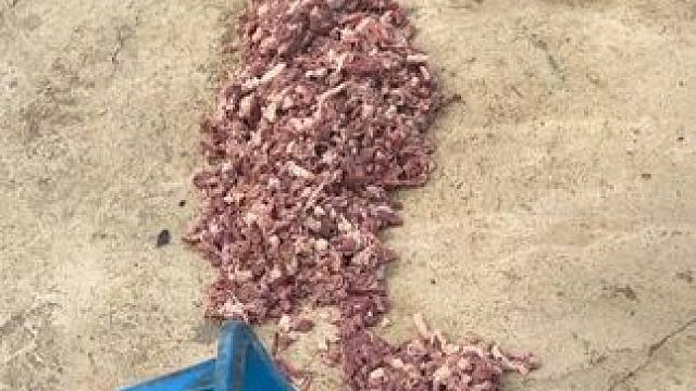 又是做牛马的一天
#农业养殖