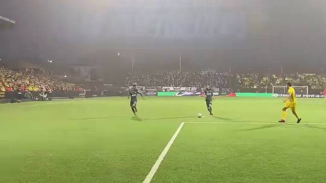 有进就进神仙球