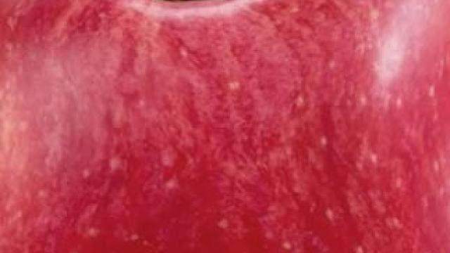 幸亏是球球，不然就火了#球球大作战 #球球大作战小游戏 #球球霸屏挑战 #球球大作战VR