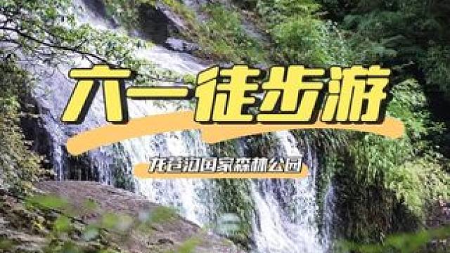 各位大宝贝小宝贝六一快乐呀，来龙苍沟感受童年#六一就是要快乐呀 #徒步 #川西旅行 #很哇塞的周末