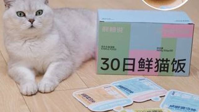 猫咪厌食，不爱喝水？这款30日鲜猫饭，一站式解决主人烦恼#30日鲜猫饭 #鲜猫饭