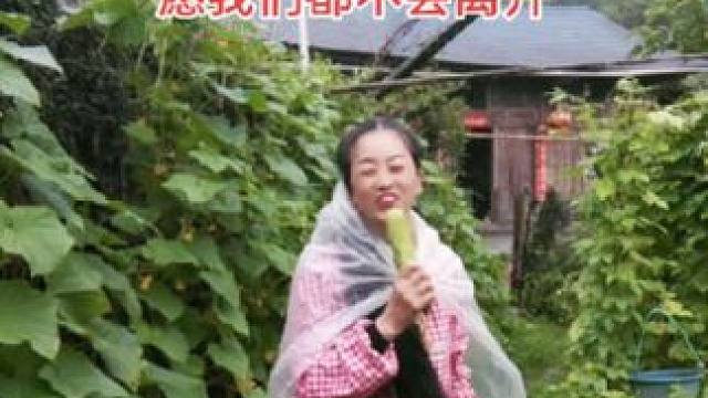 山卡卡里的农村大姐学费了开直播每天收获满满满您还在恐播怕播不敢开播开播了了不知说什么吗#记录真实生活