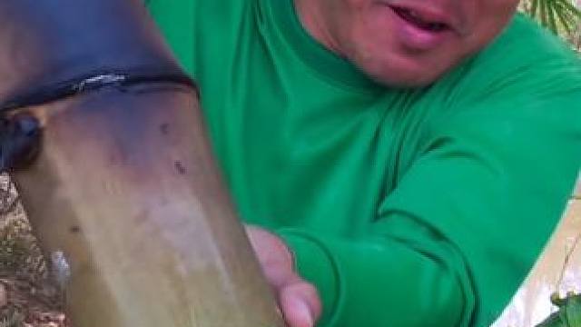 猜猜竹筒里是什么 #美食 #内容启发搜索 #泰国美食 #户外美食