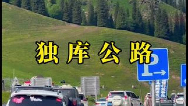 新疆最美公路 #独库公路 #自驾游  #六月的新疆有多美 #治愈系风景