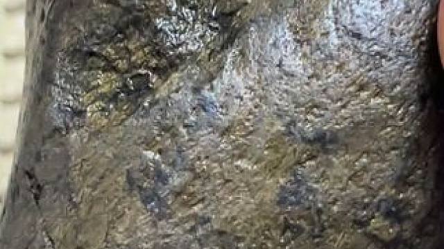 我发布了一个新视频，快来围观吧！