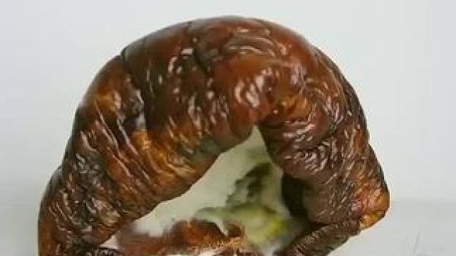 救命！这波安利我按头推！早用早享受的宝藏单品，谁懂啊！！#宝藏好物 #无限回购 #真香现场#新品美妆