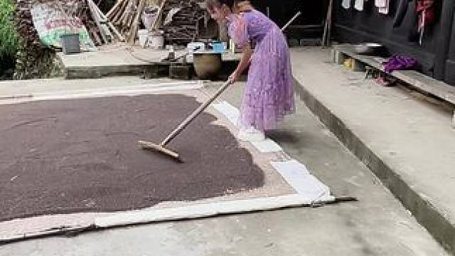 你们都觉得农村脏，乱，差，其实不怪你们，真实的农村，日出而作，日落而息，农村老人的现实生活，只要还能