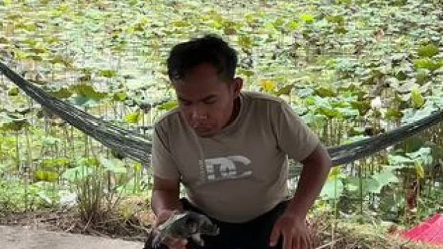 东南亚矮子 #我的乡村生活 #野外生活 #乡村生活日常 #我的农村生活