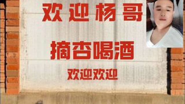 走带你去摘杏喝酒尝一尝农村美食
走起…………～～～～
来一首好听的老歌