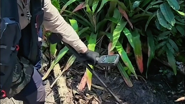 国外合法野外探宝