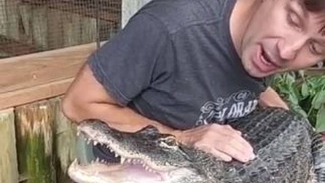 宠物鳄鱼 #国外视频分享 #奇妙的动物 #宠物