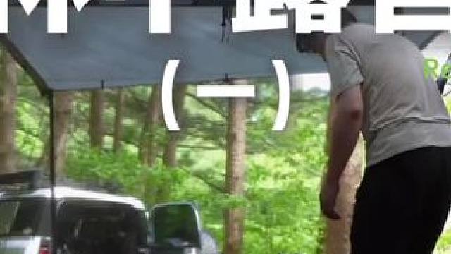 林中露营（一）#露营 #助眠 #解压 #户外露营 #哈士奇