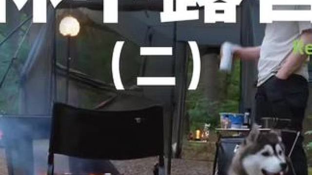 林中露营（二）#露营 #助眠 #解压 #哈士奇 #户外露营