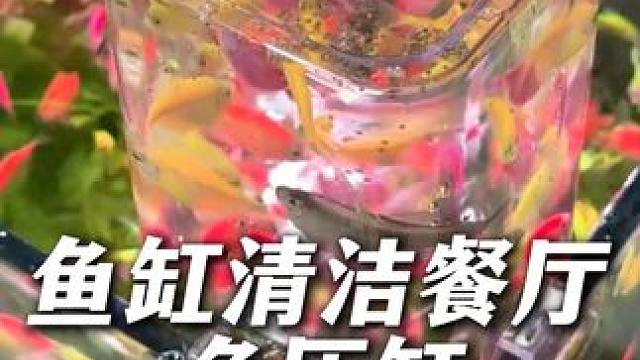 我猜你肯定不知道负压缸还能这么用！给你的鱼缸多一个清洁餐厅。 #负压缸  #水族用品  #负压鱼缸 