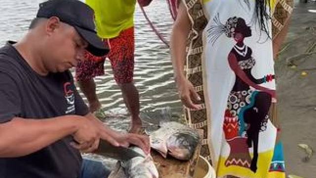 东南亚特色美食 #我的乡村生活 #日常生活 #原创视频 #农村美食记录生活 #野外生活