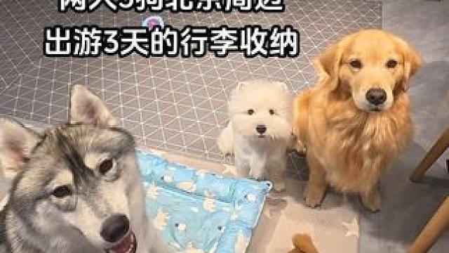 两人5狗北京周边短途三天的行李收纳 #万物可爱计划 #宠物是我最好的户外出游搭子 #行李箱收纳  #