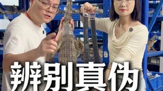 兄弟听我一句劝，别在买假鳄鱼皮带了 #源头工厂 #鳄珍 #鳄鱼养殖场