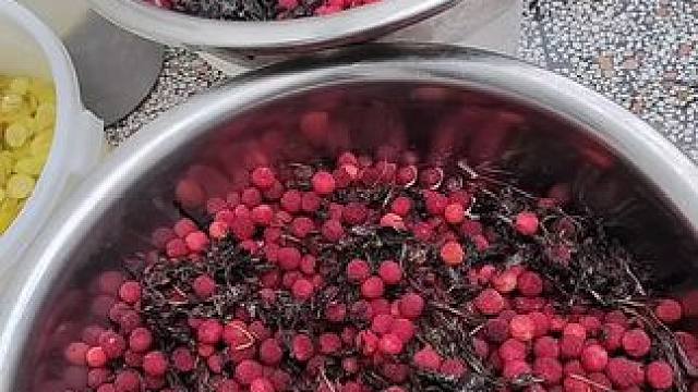 纯天然绿色食品，爆款半边紫苏李，#快来一起尝个鲜