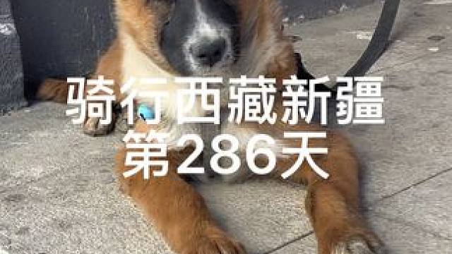骑行西藏新疆第286天，收益不好团队裁员了 #让骑行成为一种生活 #骑行新疆 #旅行 #骑行西藏 #