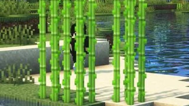 #我的世界 #Minecraft