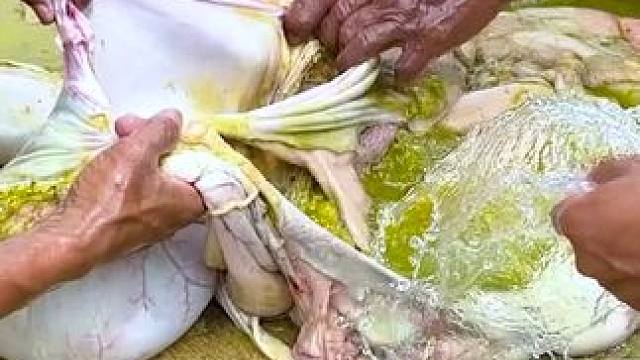 东南亚美食 #我的乡村生活 #原创视频 #农村美食记录生活 #光盘行动妈呀太香了 #傣家美食