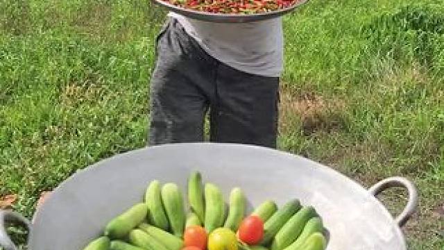 东南亚大叔 #创作者扶持计划 #我的乡村生活 #原创视频 #大口吃肉感觉真好