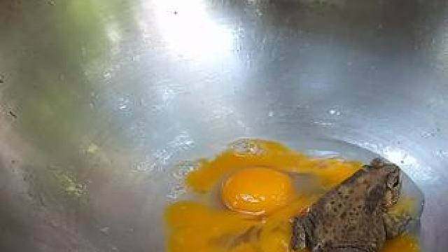 光盘行动妈呀太香了~