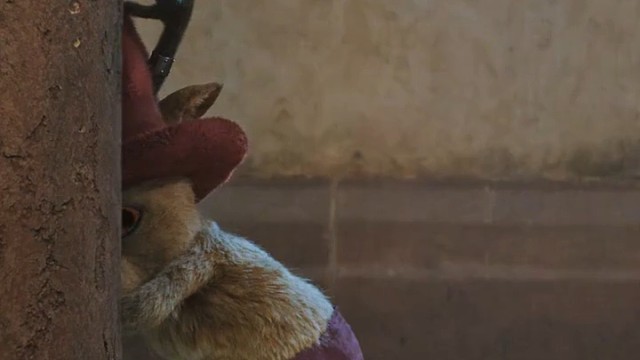 海贼王真人剧第二季先导预告乔巴来咯！