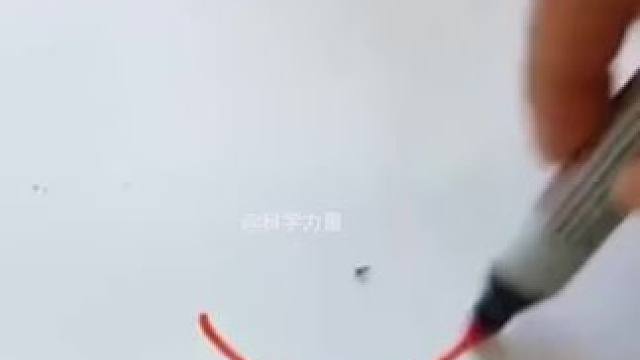 为什么给蚂蚁画个圈，蚂蚁就再也走不出来呢？科普百遍不如陪孩子动手实验一遍，激发孩子的求知欲与探索心，