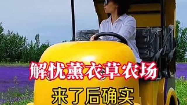 休假倒计时第2天 休假倒计时第2天
 紫海香漫谢安排，花间自在省心来
这里不是普罗旺斯，这里是伊利霍