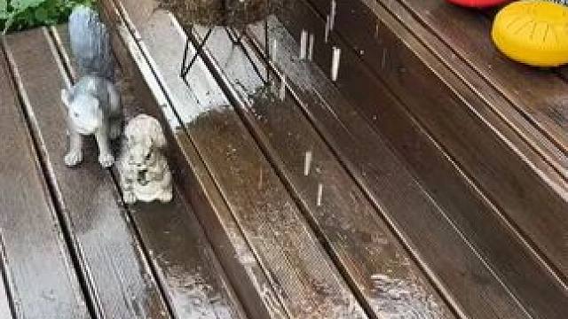 最喜欢哪一个的声音呢？ #玩个很新的东西