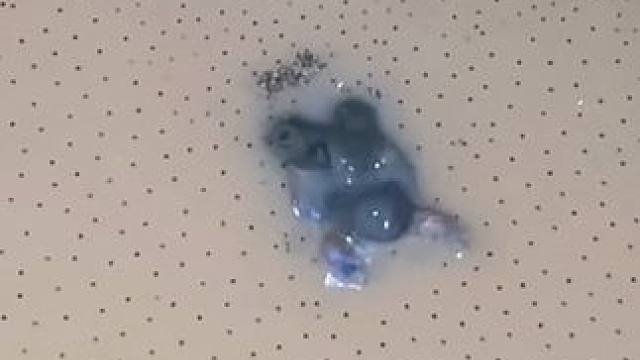 又到了繁殖的季节了 #内容启发搜索 #美食 #泰国美食 #户外美食