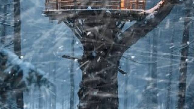 森林的小树屋温暖又舒适，聆听着风雪进入睡眠吧 #白噪音 #助眠视频 #解压助眠 #入睡困难 #睡眠音