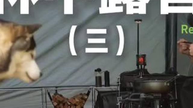 林中露营（三）#露营 #助眠 #解压 #哈士奇 #户外露营